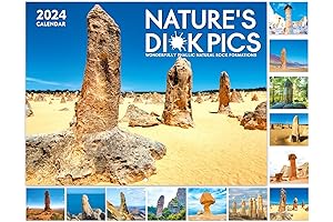 Natures D*ck Pics 2024 Funny Wall Calendar - Hilarious Gag Gifts Idea
