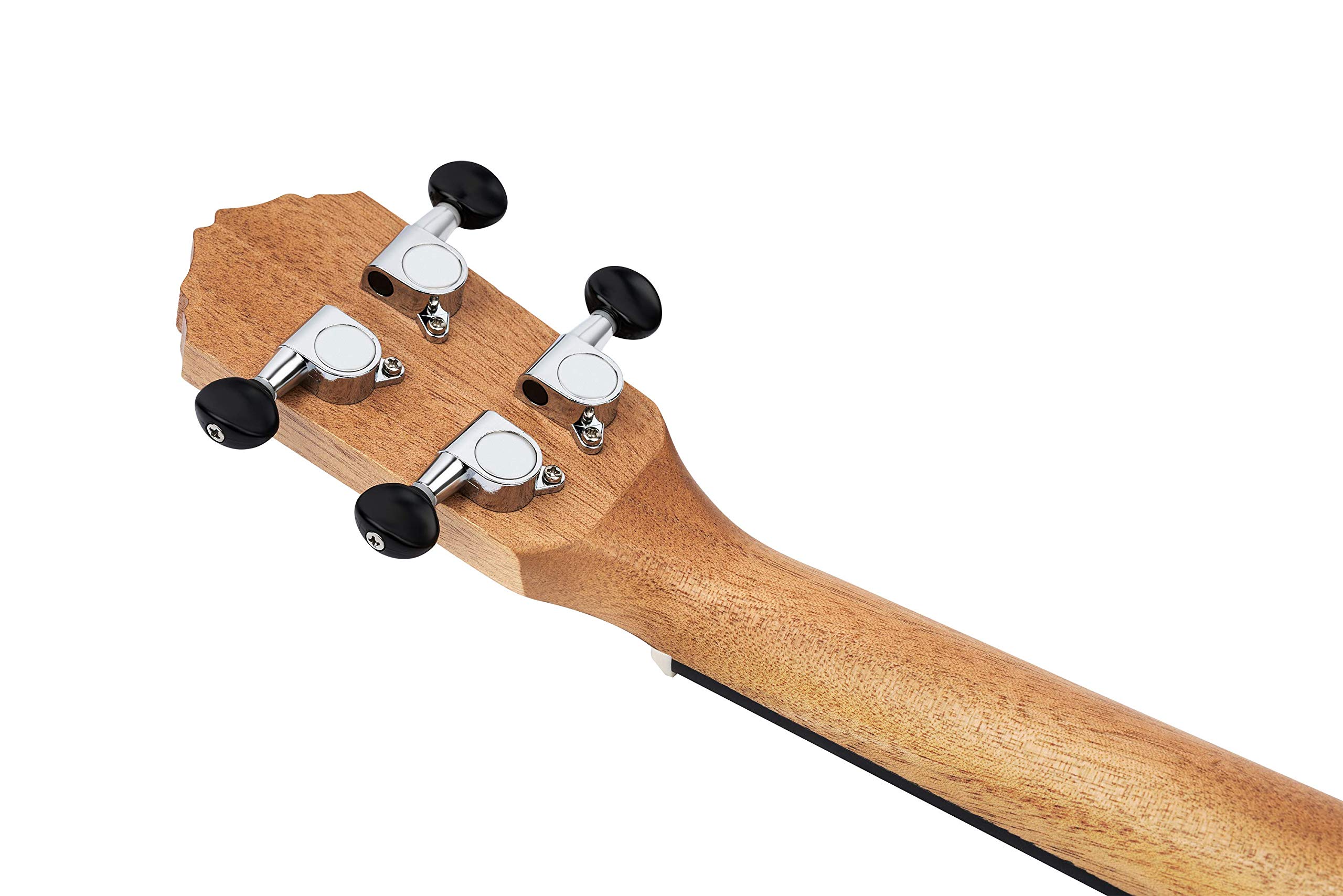 Ortega Guitars Ukulélé Concert Acoustique – Série Timber – Housse Incluse – Zebrawood, Naturel (RFU11Z)