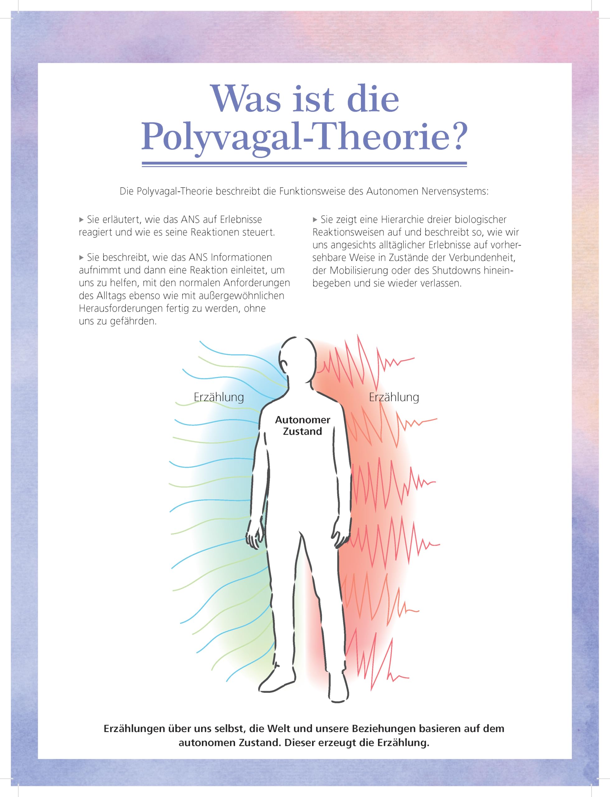 Flipchart Polyvagal-Theorie: Der Einfluß des Autonomen Nervensystems auf das Erleben von Sicherheit und Verbundenheit