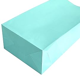 Partay Shenanigans Party Favor Bags - 50 Pack Kraft Paper Goodie Gift Lunch Treat Bags - Party Supplies for Theme Kids Birthday - 5x3x9 (Baby Blue)