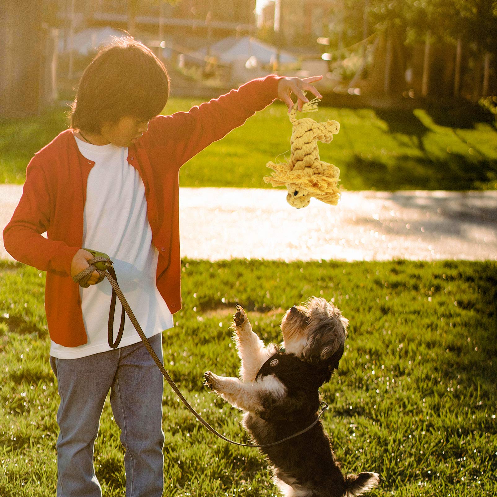 Totority 2Pcs Creative Cartoon Dog Chew Durable Rope Teethers Lion Duck for Interactive Play Wear Resistant Pet Supplies for Dogs and Cats