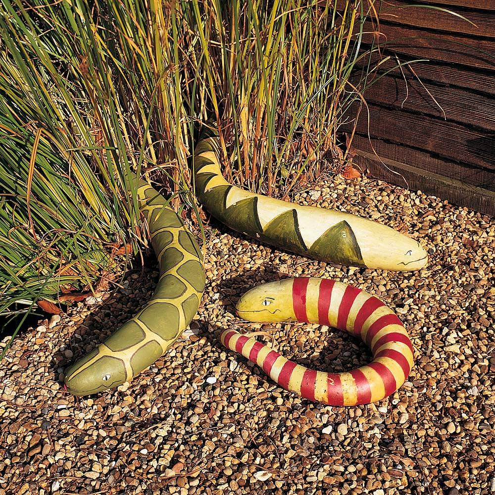 Childrenβs Snake Gourd Half-Hardy Annual Seeds (5 Seeds) by Thompson and Morgan