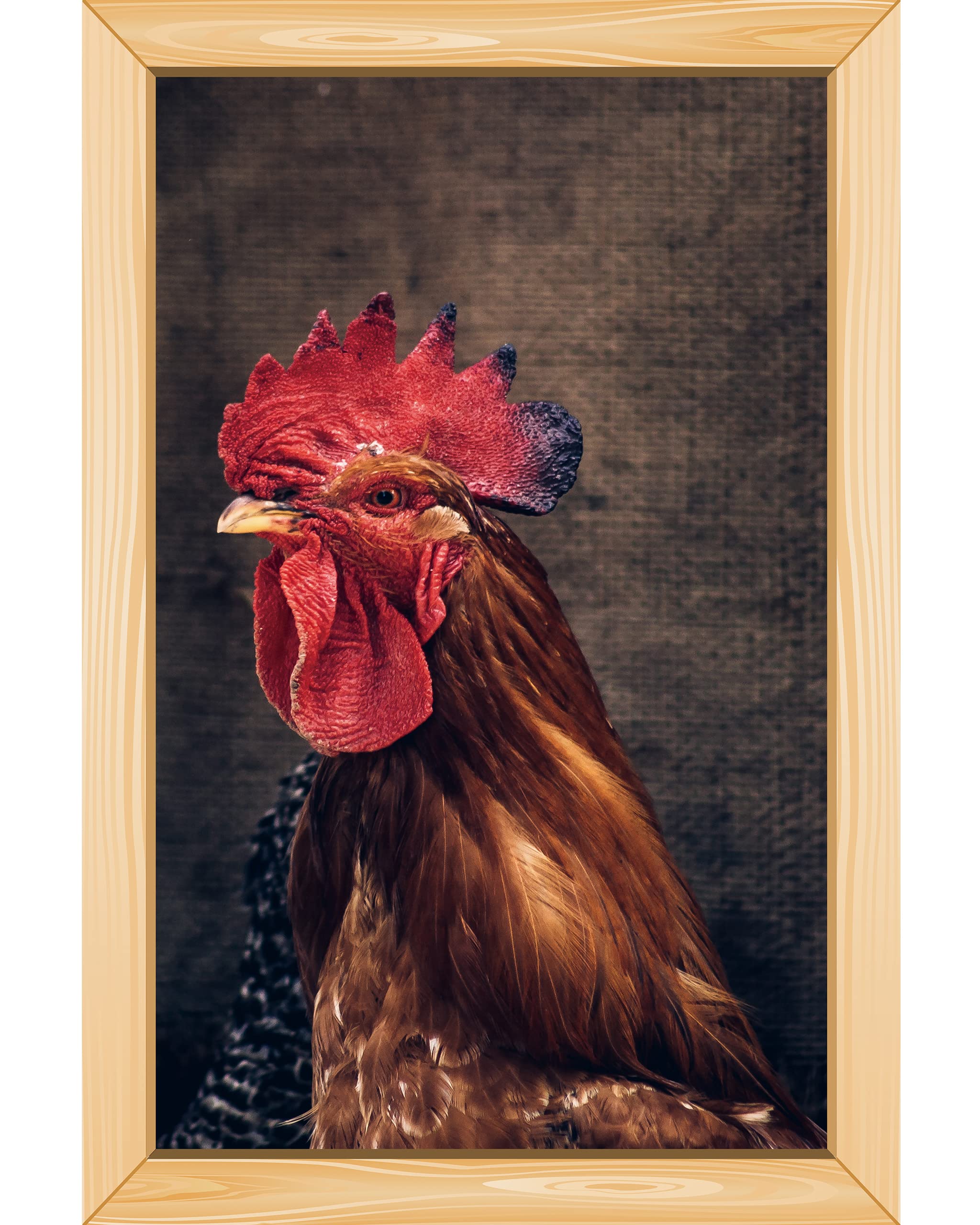 Photo 1 of (NO WOODEN FRAME)PTRUES Wall Mural -Battle-Ready Rooster Wall Sticker Decal Perfect for Wall Decor - Cute Adorable Pets - Cartoon Animals Wallpapers 10"x15" Size Pt4517s