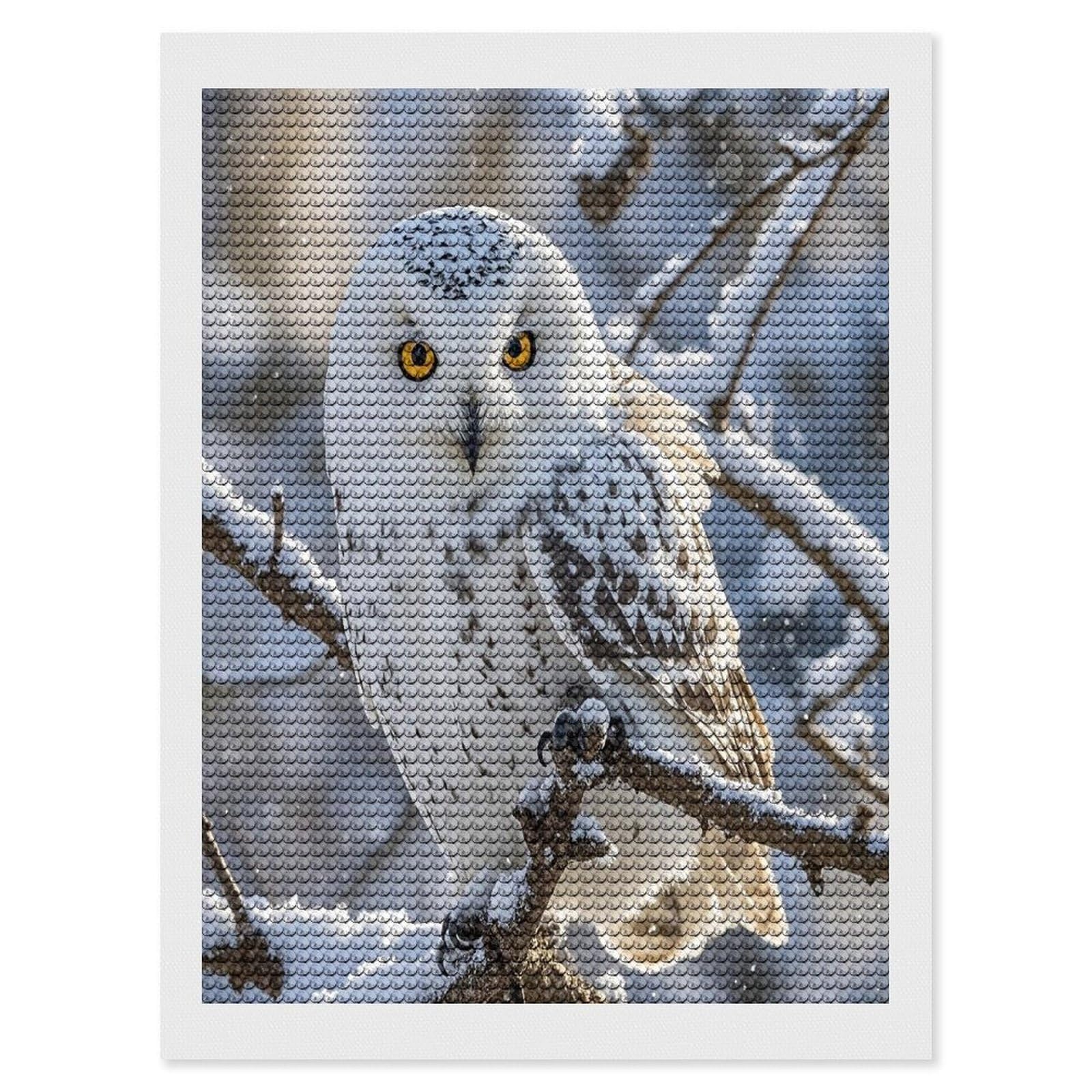 FekiLoot Winter White Owl Diamond Painting Kits for Adults Full Round Drill Diamond Art Kits for Beginners 5D DIY Diamond Dots Paintings Diamonds Pictures Gem Art Home Wall Decor 12"x16"