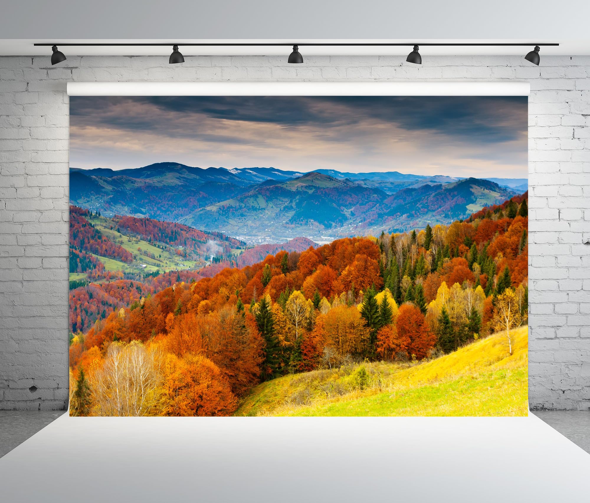 Amazon.com : Loccor Fabric 7x5ft Autumn Natural Scenery Backdrop