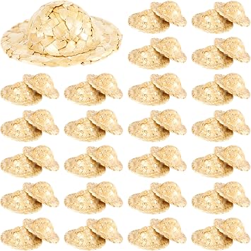 50 Pcs Mini Straw Hats for Crafts 2.1 Inch Small Doll Hat Miniature Sombrero Hats Tiny Dollhouse Hat for DIY Decorations Pets Costume Accessories