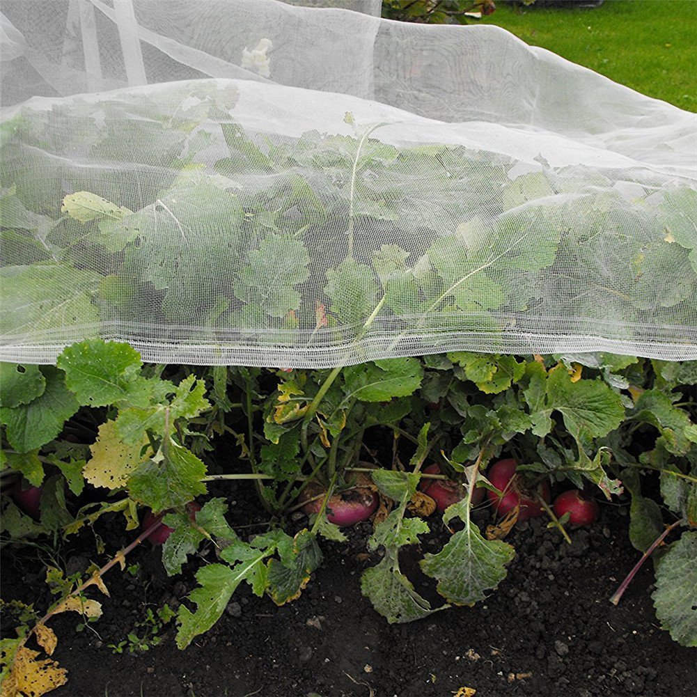 Rete Protettiva Per Piante Anti-insetti In PE – Maglia Fine 10x2 Metri, Protezione Da Uccelli E Parassiti Per Orto E Giardino - 2
