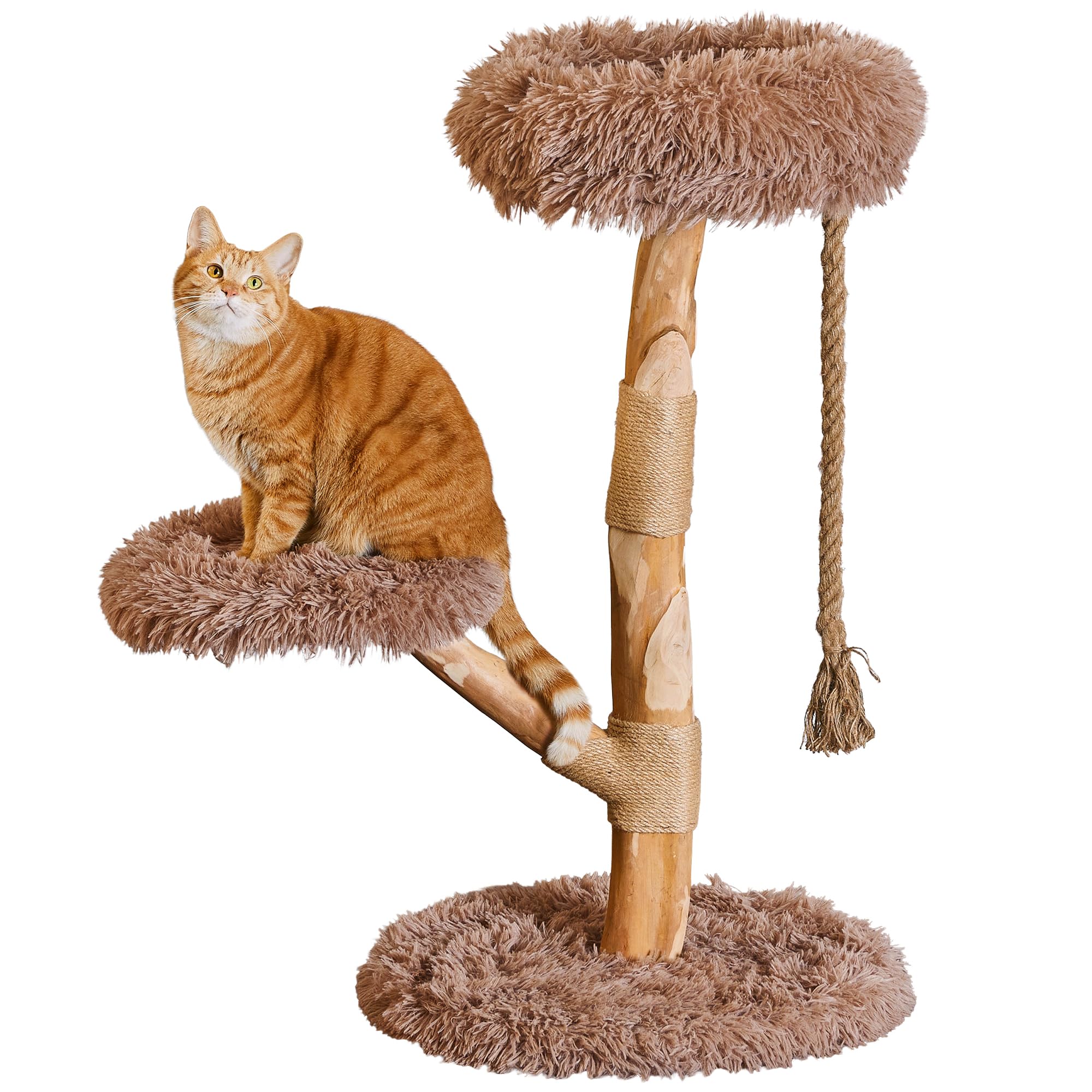 Quuzee Modern Cat Tree Tower, 90cm Solid Wood Cat Furniture for Indoor Cats with 2 Detachable Cushion Platforms & Dangling Rope Toy, Scratching Post - Sturdy Multi-Level Perch for Cats, Brown