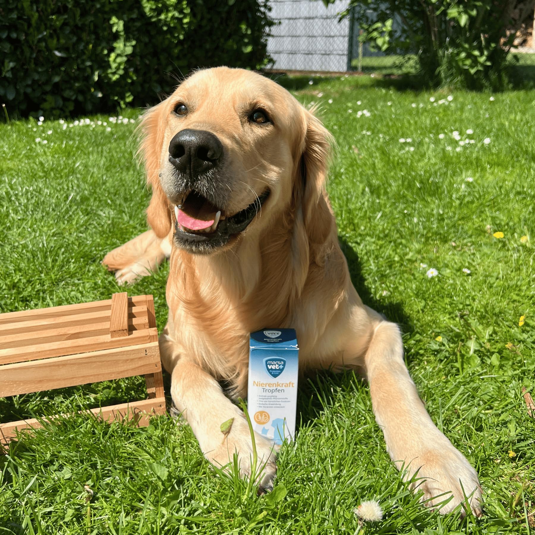 Marsavet Gocce di forza renale - Integratore alimentare con succo di ortica per promuovere la salute dei reni. Sostegno naturale della funzione renale e urinaria per cani, gatti, roditori e uccelli.