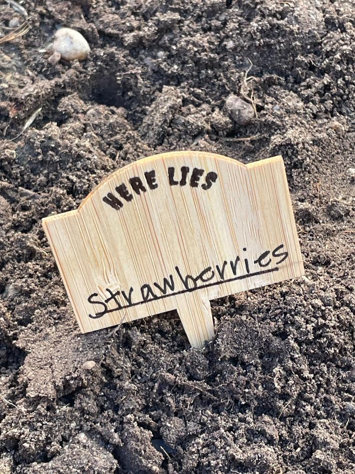 Plant Tags,Tags for That Plant Killer in You, for People who Can't Keep Plants Alive! Garden Marker Tags for Plants