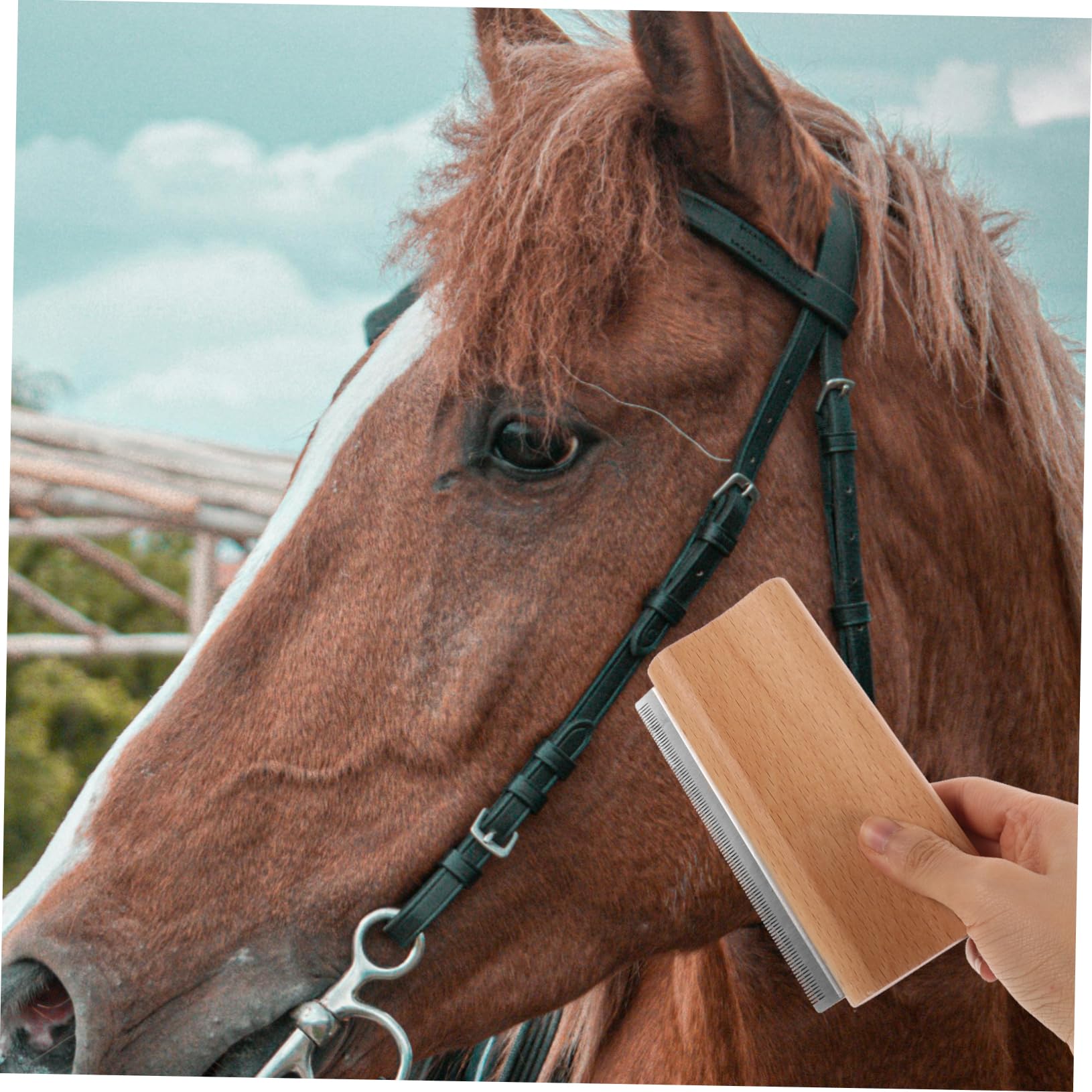 Supvox 5stücke Horse Deshedding Brush Pferdebürste Für Effektives Grooming Für Pflege Von Pferdehaaren Und Fördert Die Bindung Tier Und