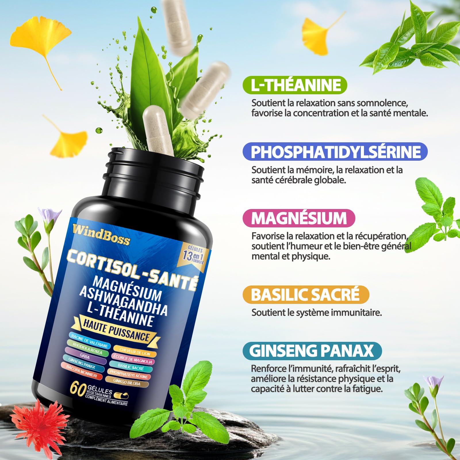WindBoss 60 + 90 capsules Ensemble de capsules Myo-inositol et de cortisol, naturel, sans additifs et végétalien