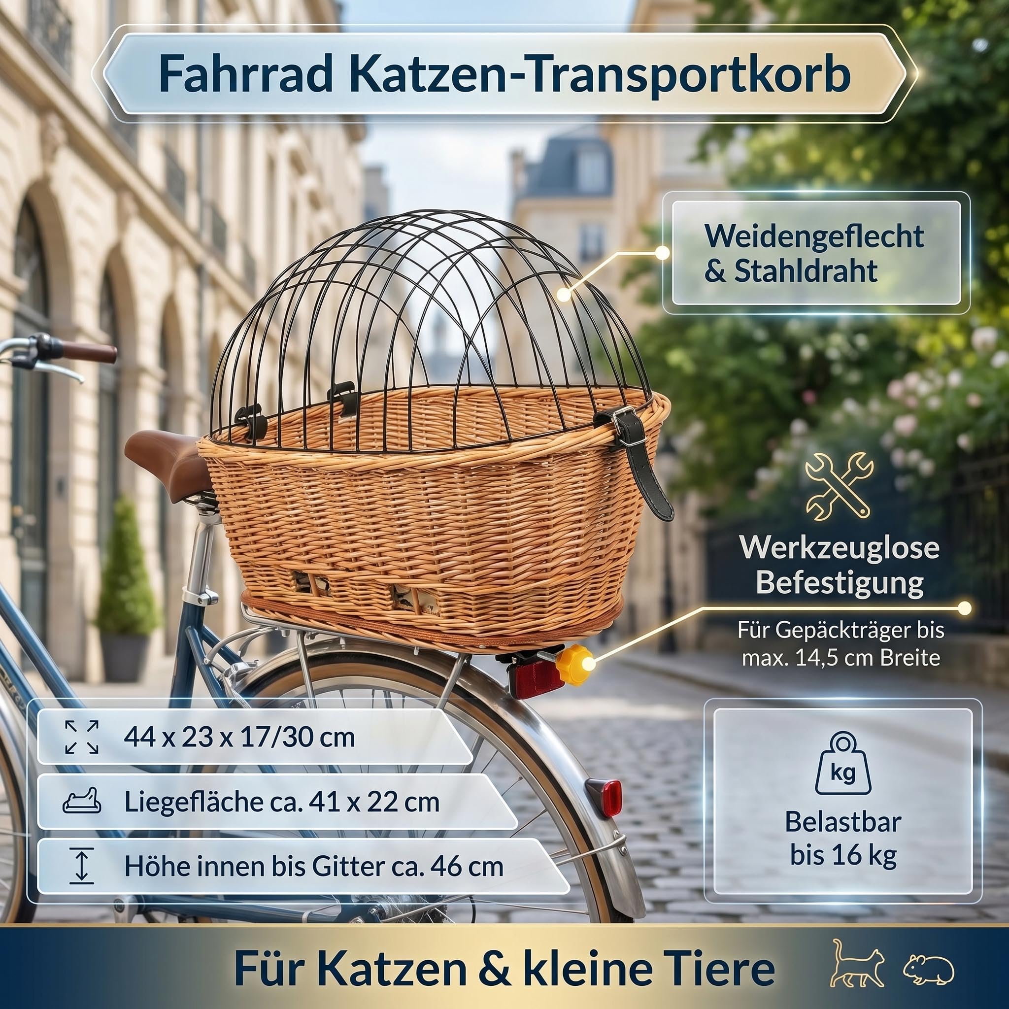 Red Loon Fahrrad Hunde Transportbox Hundetransport Hundebox Gepäckträgermontage