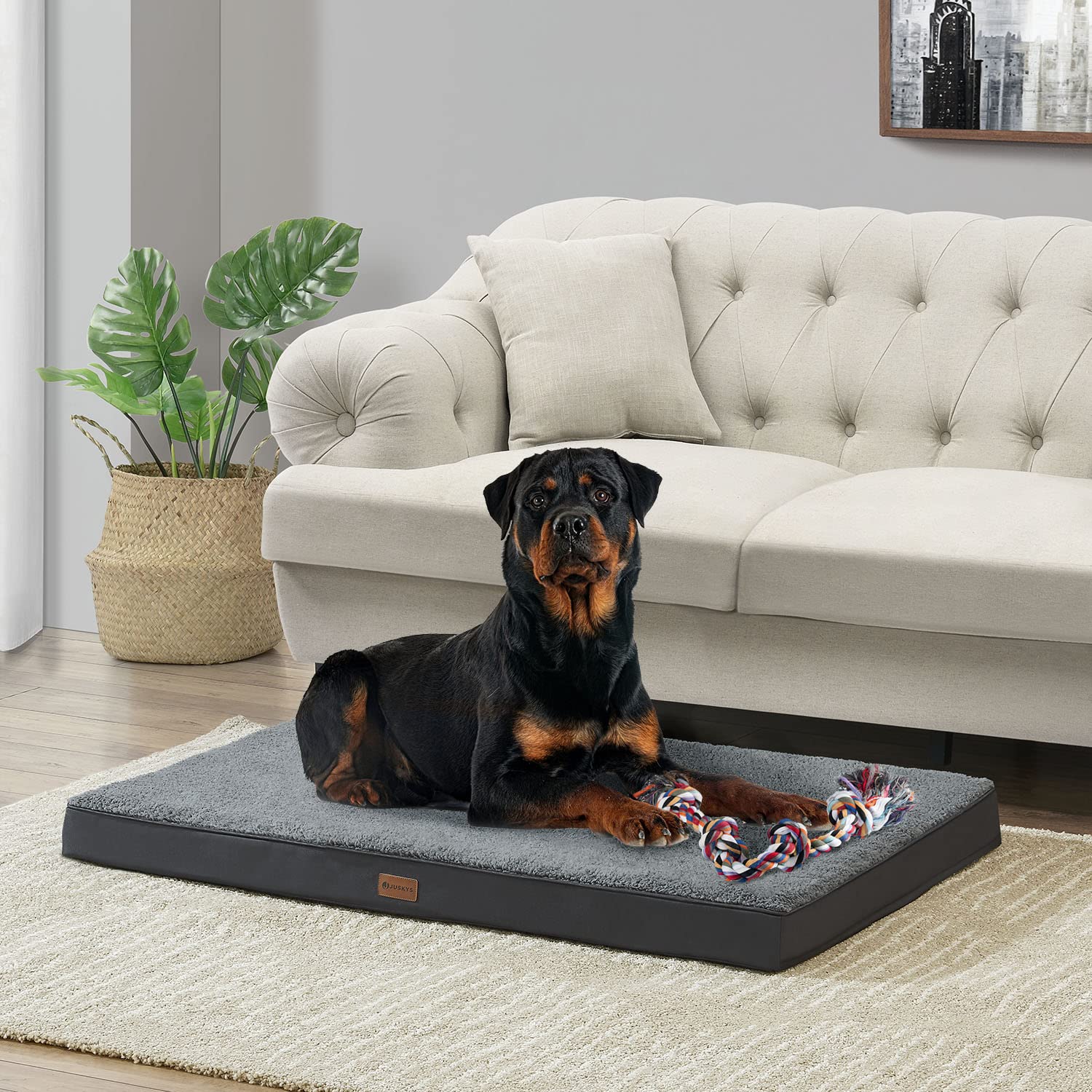 Juskys Hundebett Milow orthopädisch 112x81cm - flauschig & stabil - Bezug abnehmbar & waschbar - Hundekissen Hundematte für große Hunde - Grau
