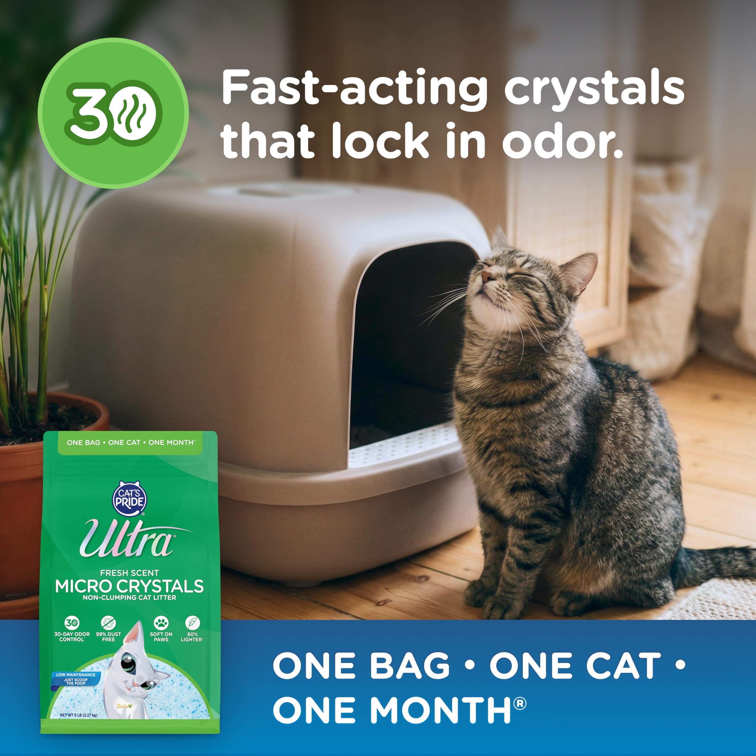 Ultra Arena para Gatos Fresh Scented Micro Crystals Premium, 99.9% Libre de Polvo, Suave para Las Patas, 15 Libras en Total (3 Paquetes de 5 Libras)