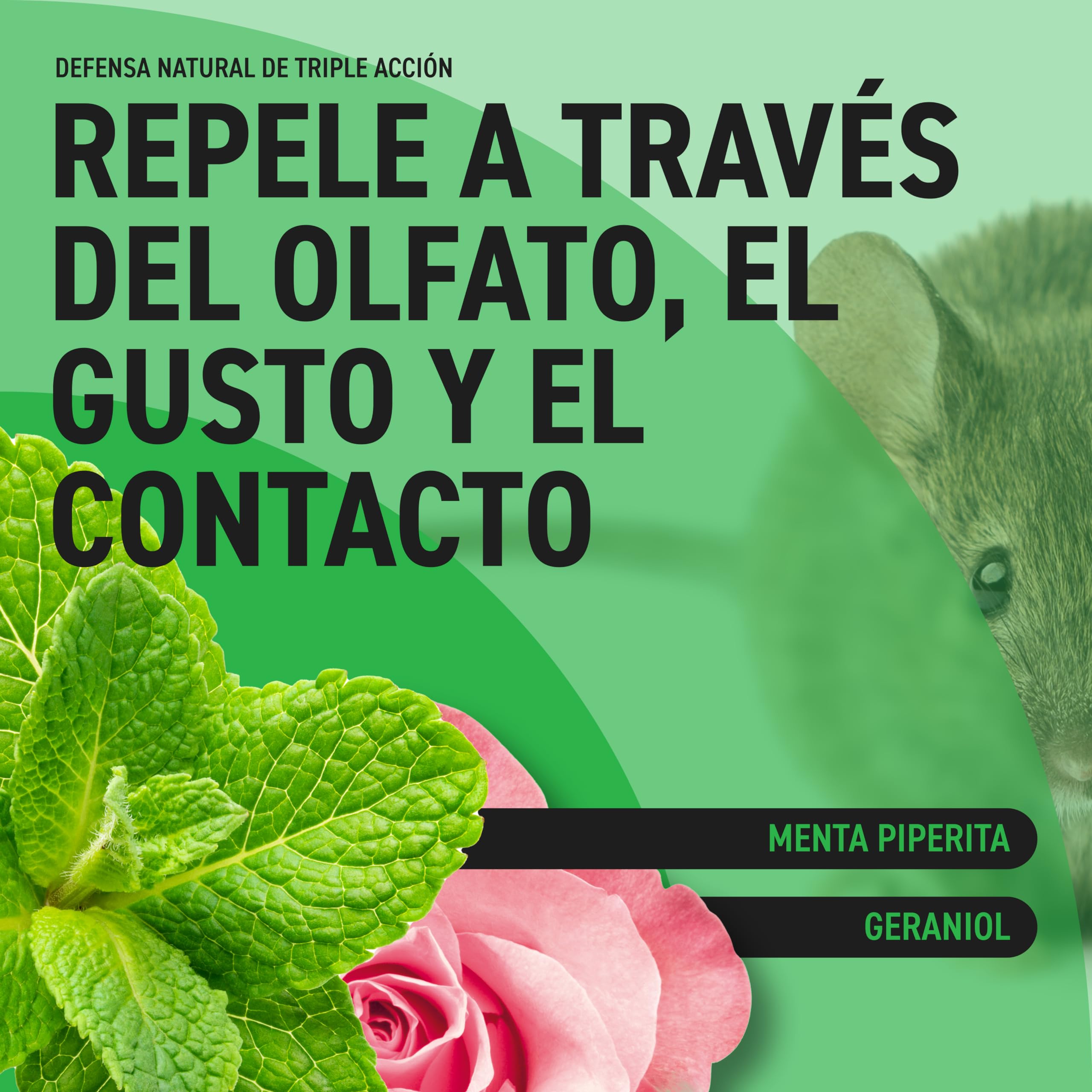 RepellShield® Repelente Ratas y Ratones - Anti Roedores Natural para Coche y Hogar -250ml- No Mancha, Uso Interior y Exterior - Aceite de Menta - Ahuyentador de Ratas Seguro para Niños y Mascotas