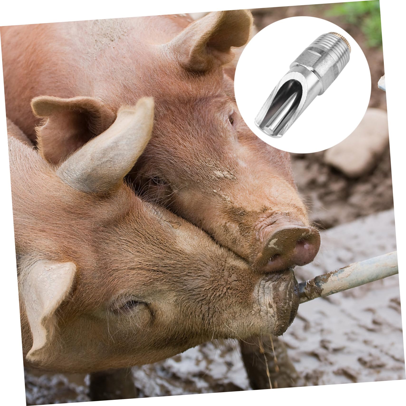 10 Stück Edelstahl Schweine Wassernippel mit Kupferkappe Automatische Schweinetränke Langlebig und Tropffrei für Sauen und Mastschweine in Tierhaltung
