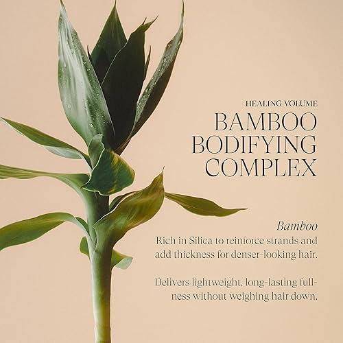 Miniatura 6 de L'ANZA Spray para el cabello con efecto de raíz de volumen curativo con fuerte efecto de sujeción, aumenta el brillo, el volumen y la textura, con