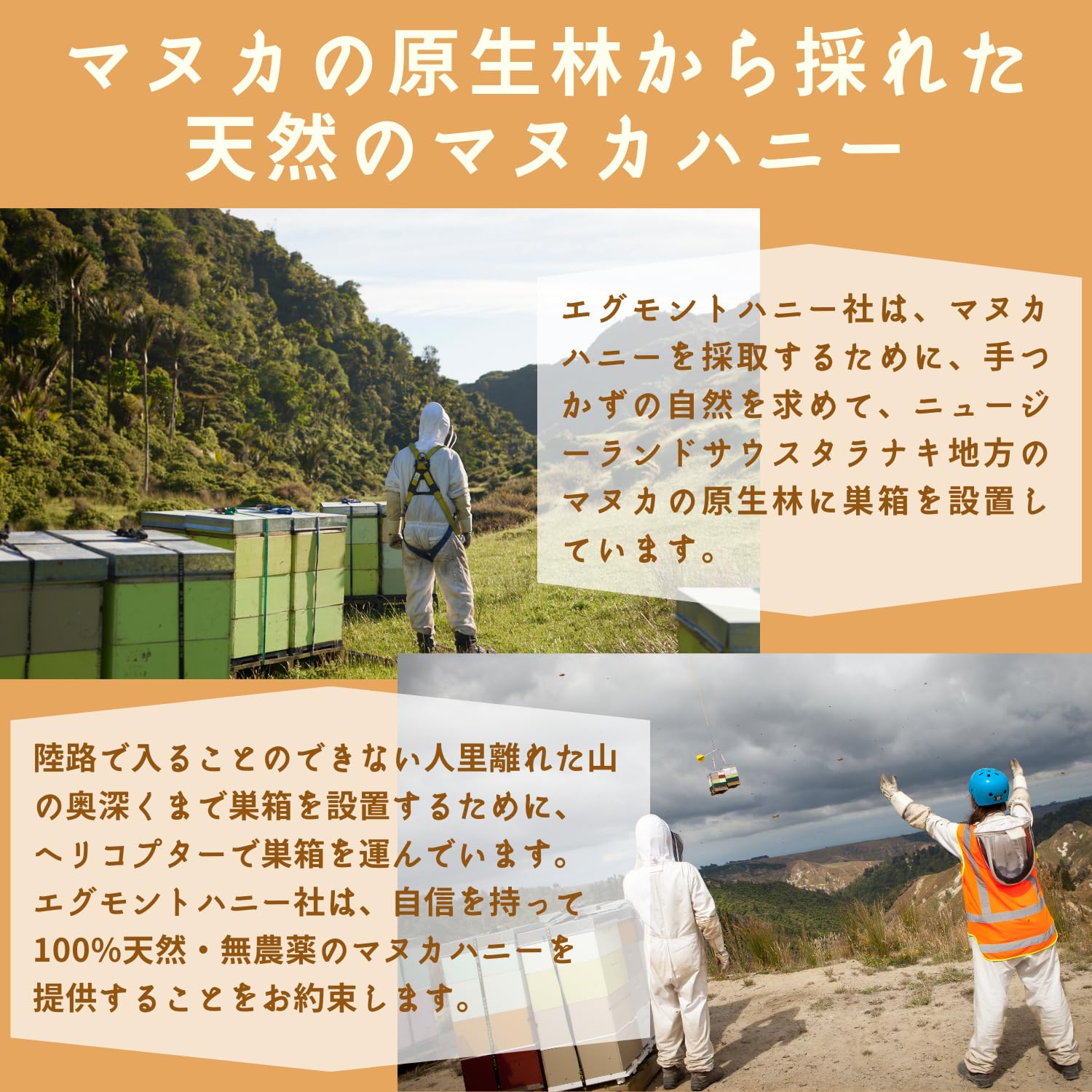 Amazon | エグモントハニー マヌカハニー UMF20+/MGO830+  