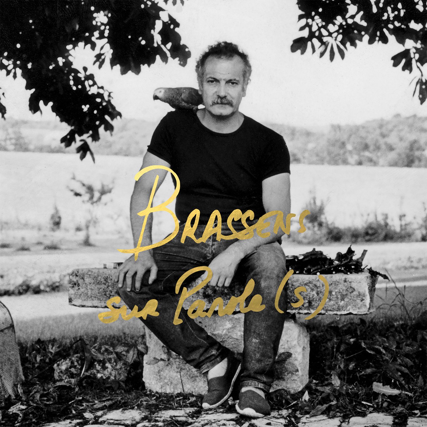 Brassens Sur Parole(s)
