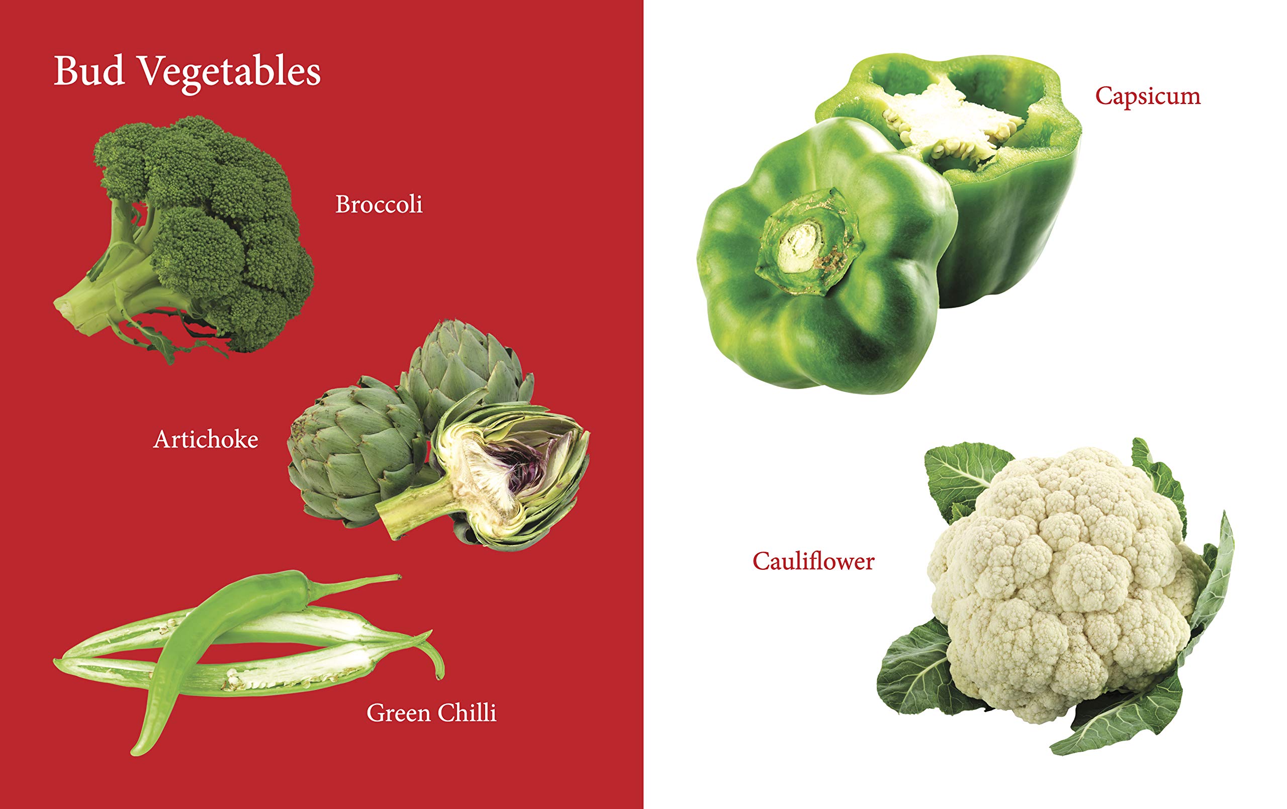 My First Book of Vegetables: Fun & Educational Board Book for kids | Early Learning Made Joyful | Realistic Pictures for Easy Recognition | Healthy Eating through Fun Visual Learning | First Step into Nature’s Garden 1