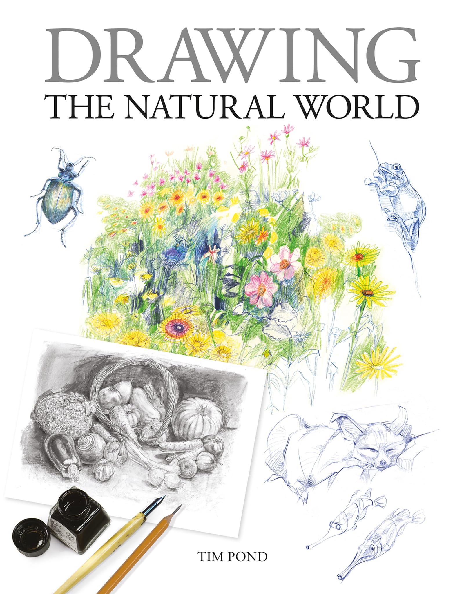 Drawing the Natural World