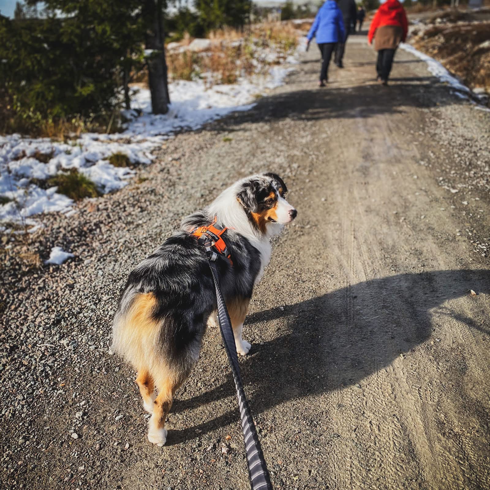 Non-Stop Dogwear Non-Stop Park Run Line - Image 4