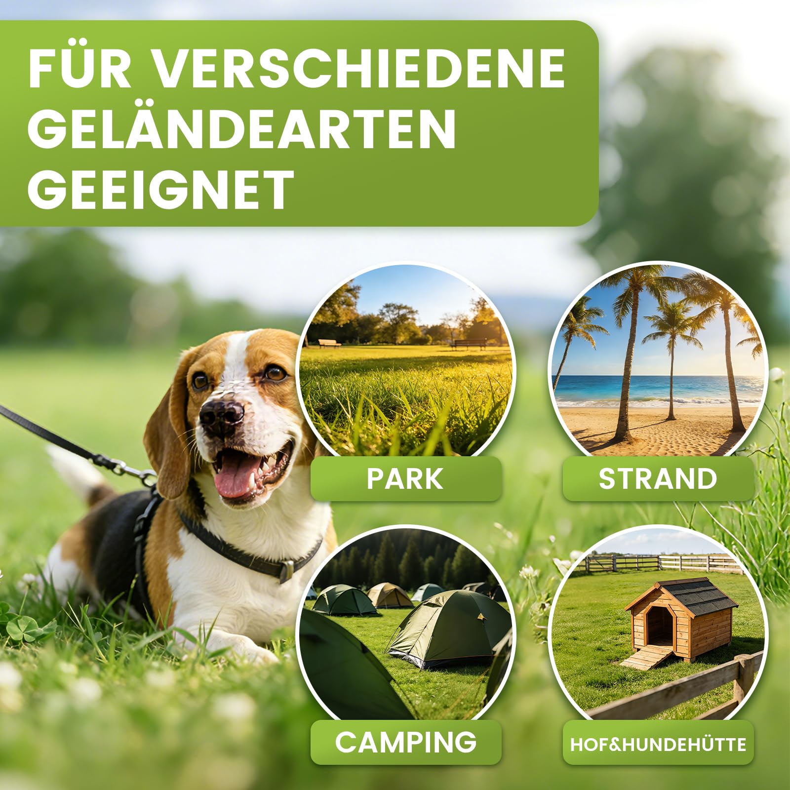 Piquet Ancrage pour Chien à 360°, Supportant jusqu'à 220lbs pour Petit, Moyen ou Grand Chien, Piquet Patio, Camping, Plage (Noir)