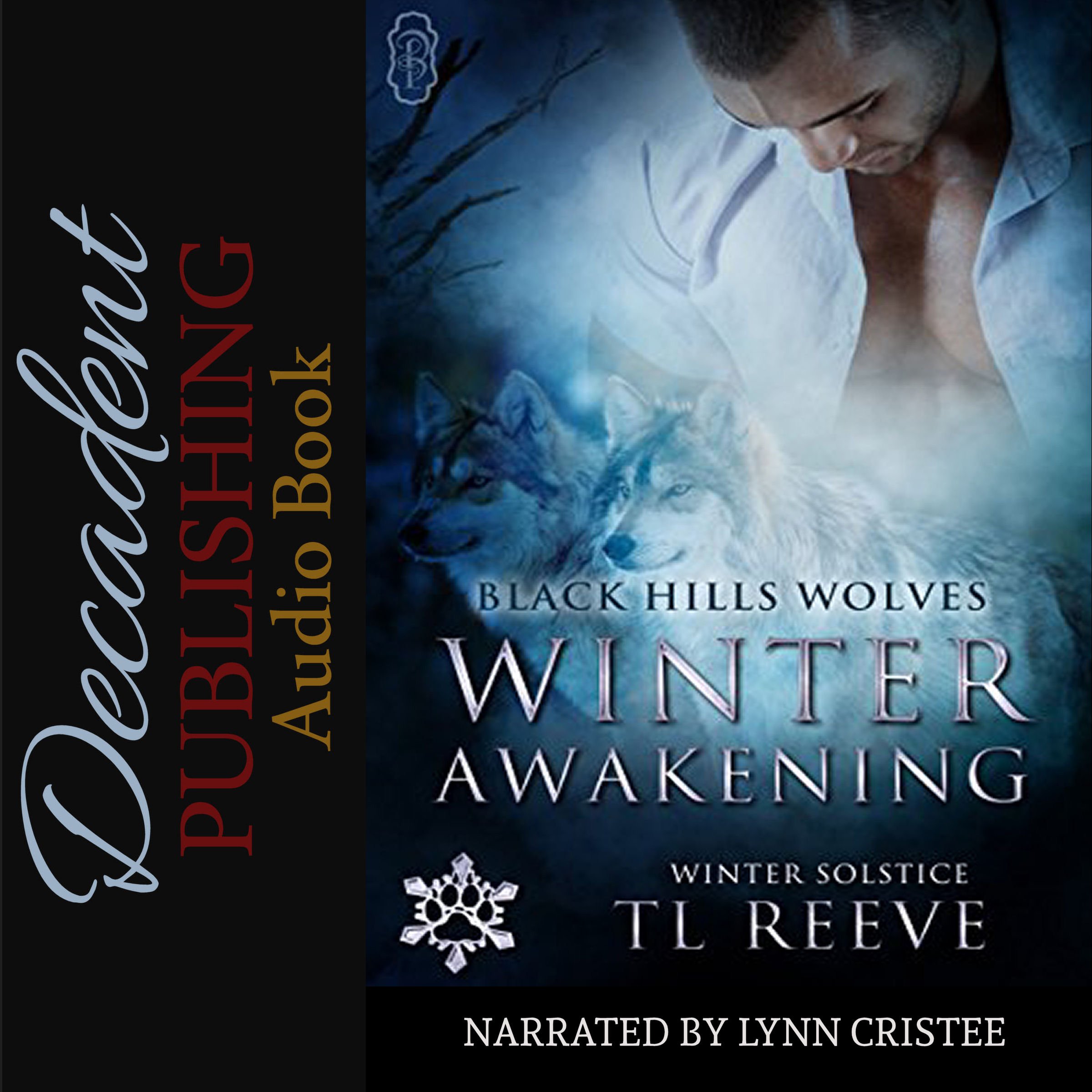 Cover art for Winter Awakening