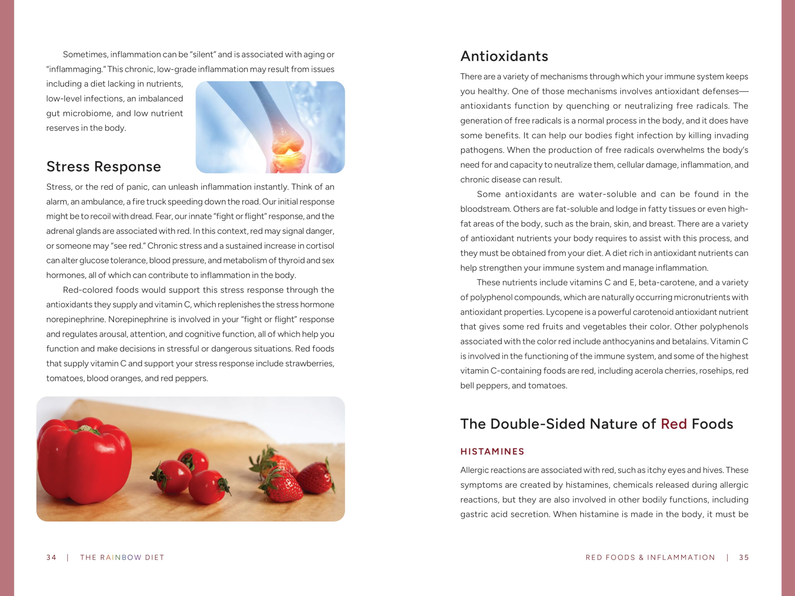 The Rainbow Diet: A Guidebook to the Science and Art of Colorful Foods for Health and Well-Being