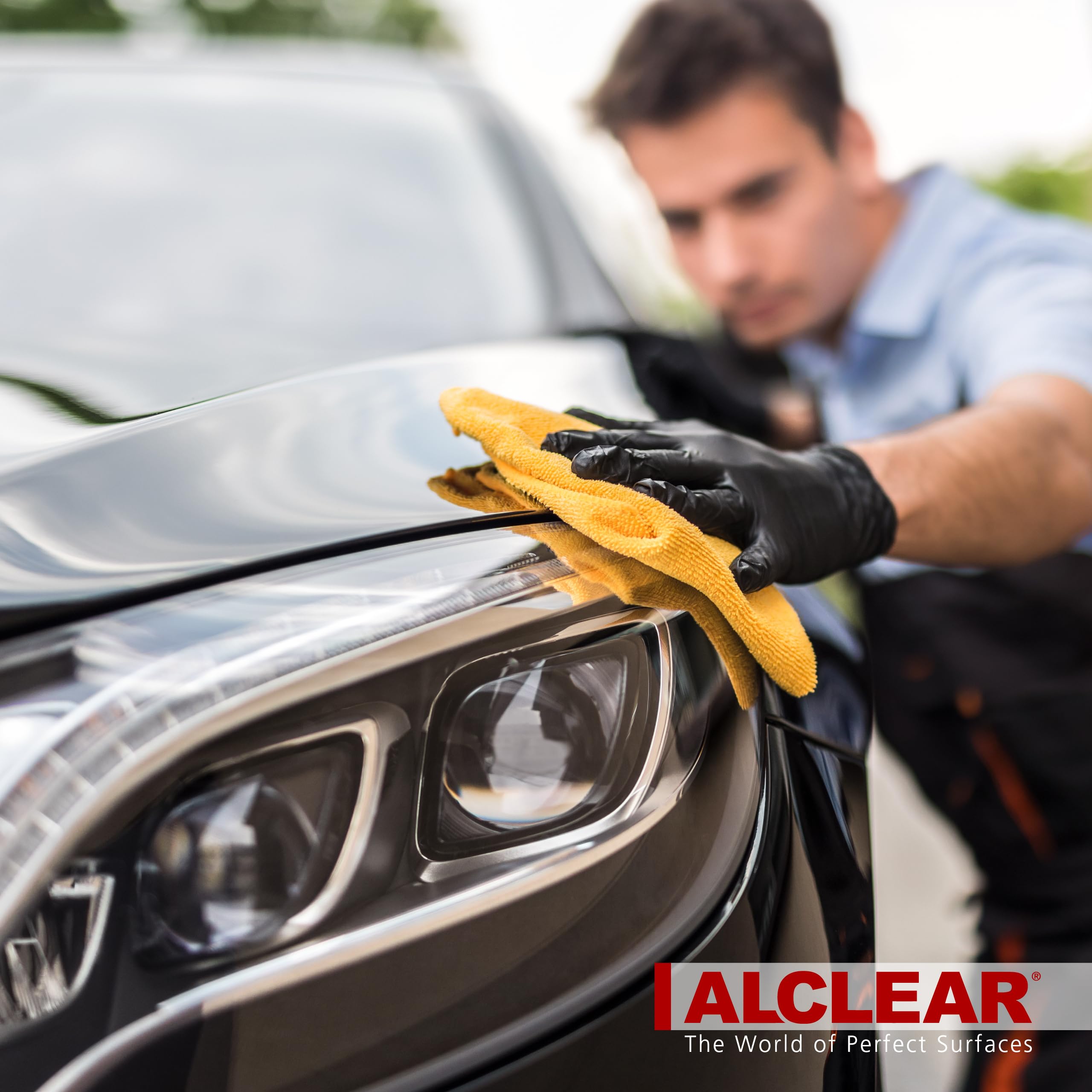 ALCLEAR 721IX Quitainsectos extra para vehículos, 1000 ml