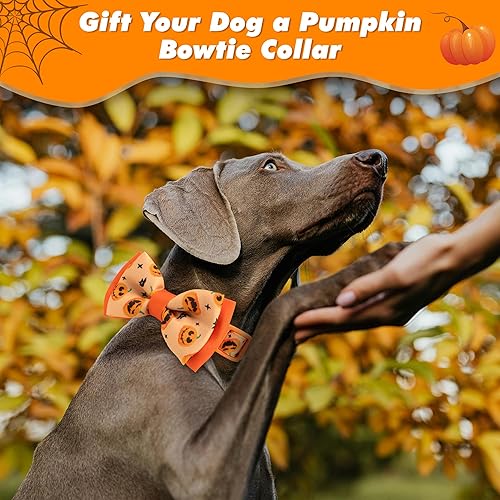 Miniatura 8 de azuza Collar de San Valentín para perro, collar de perro extraíble con corbatín de San Valentín con patrón romántico de corazones rosas brillantes,