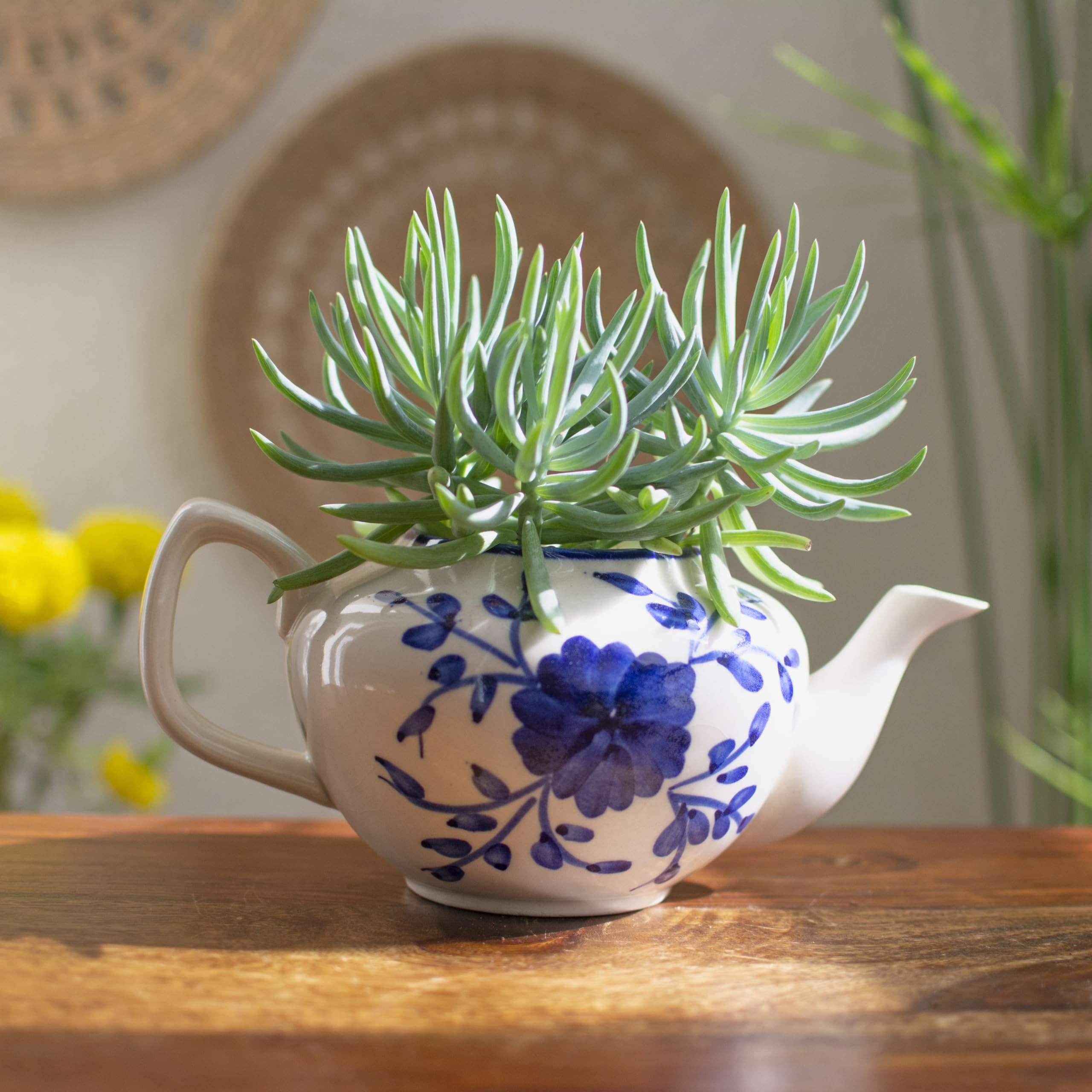 See full amazon price history chart for Thorny Affair Handcrafted Ceramic Teapot Style Planter Pot | Handpainted by Artisans | Indoor Plants, Succulents | Home Décor | with Drainage Hole | White | 15 x 15 x 10 cms Thorny Affair Handcrafted Ceramic Teapot Style Planter Pot | Handpainted by Artisans | Indoor Plants, Succulents | Home Décor | with Drainage Hole | White | 15 x 15 x 10 cms (B0CNW51DB9) Amazon Price History, Amazon Price Tracker