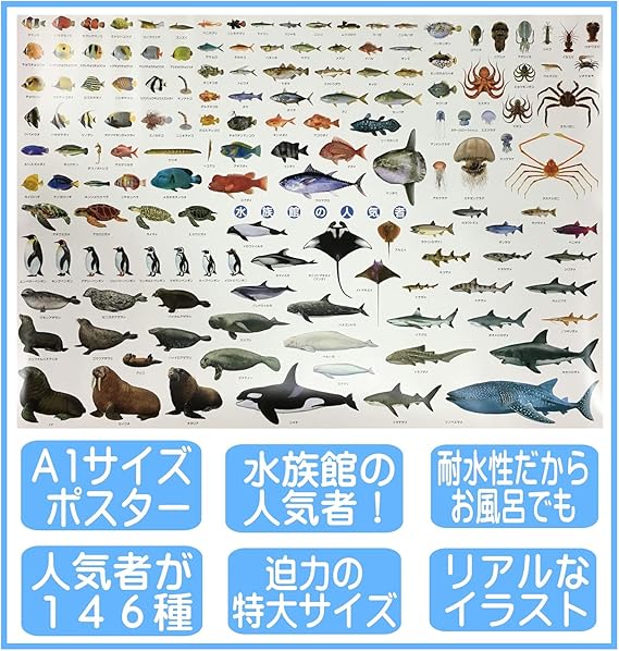 Amazon 水族館 人気者 ポスター 特大サイズ 146種 お風呂ポスター 図鑑 ａ1 サイズ 841 584mm Ki 090 C 生物 動物 人体 おもちゃ