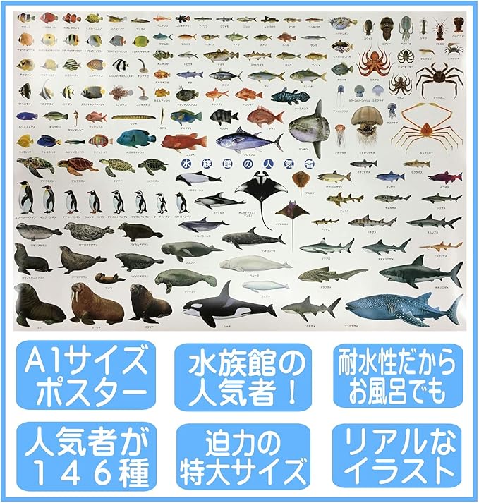 Amazon 水族館 人気者 ポスター 特大サイズ 146種 お風呂ポスター 図鑑 a1 サイズ 841 584mm Ki 090 C 生物 動物 人体 おもちゃ Amazon 水族館 人気者 ポスター 特大サイズ 146種 お風呂ポスター 図鑑 a1 サイズ 841 584mm Ki 090 C 生物 動物 人体 おもちゃ