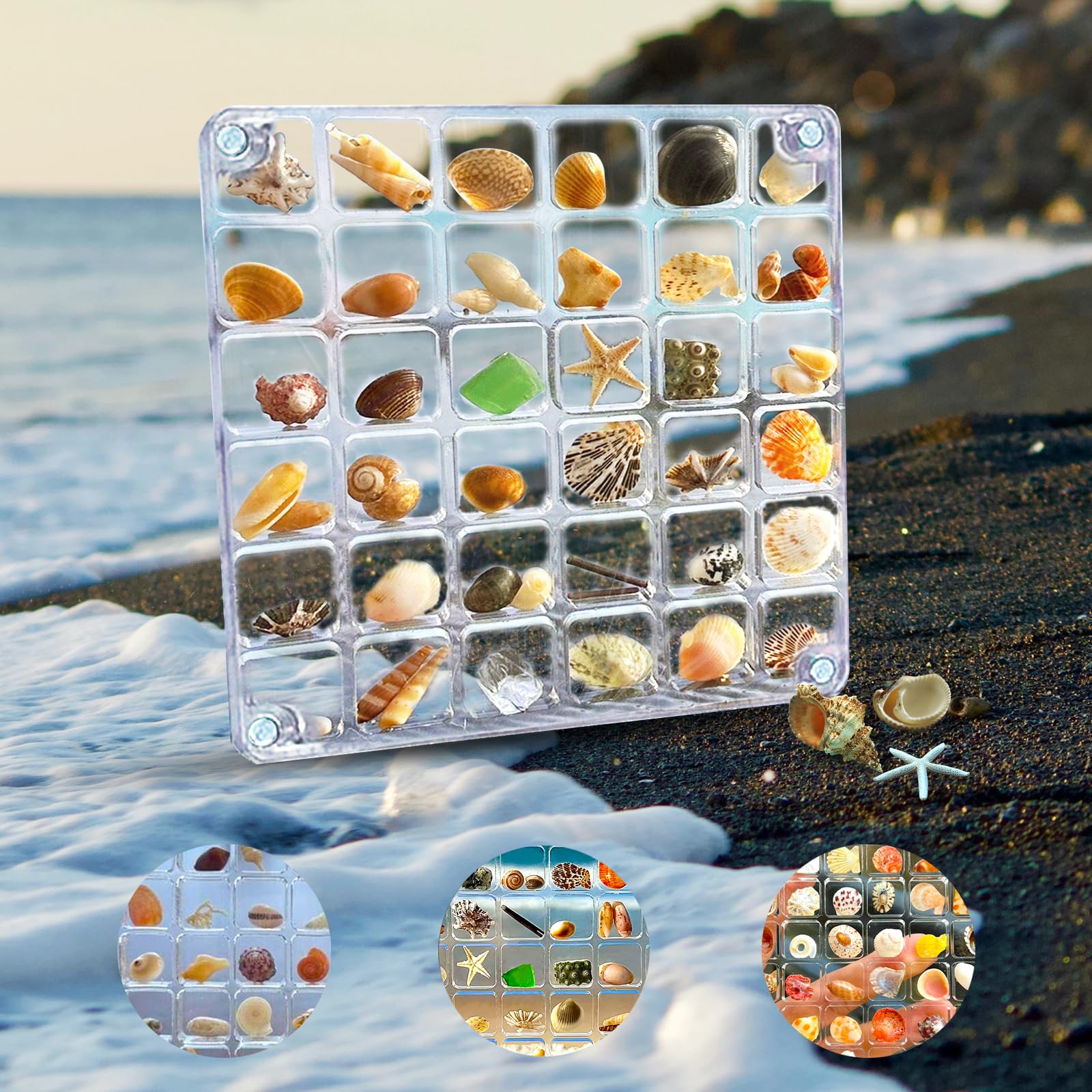 ZUGHXMSZUGHXMS Seashell Display Box Magnetic Case, Acrylic Sea Shell Display Box with 36 Grids Collection Memory Case Container for Mini Seashells Jewelry Organizer or Tiny Collectibles Storage