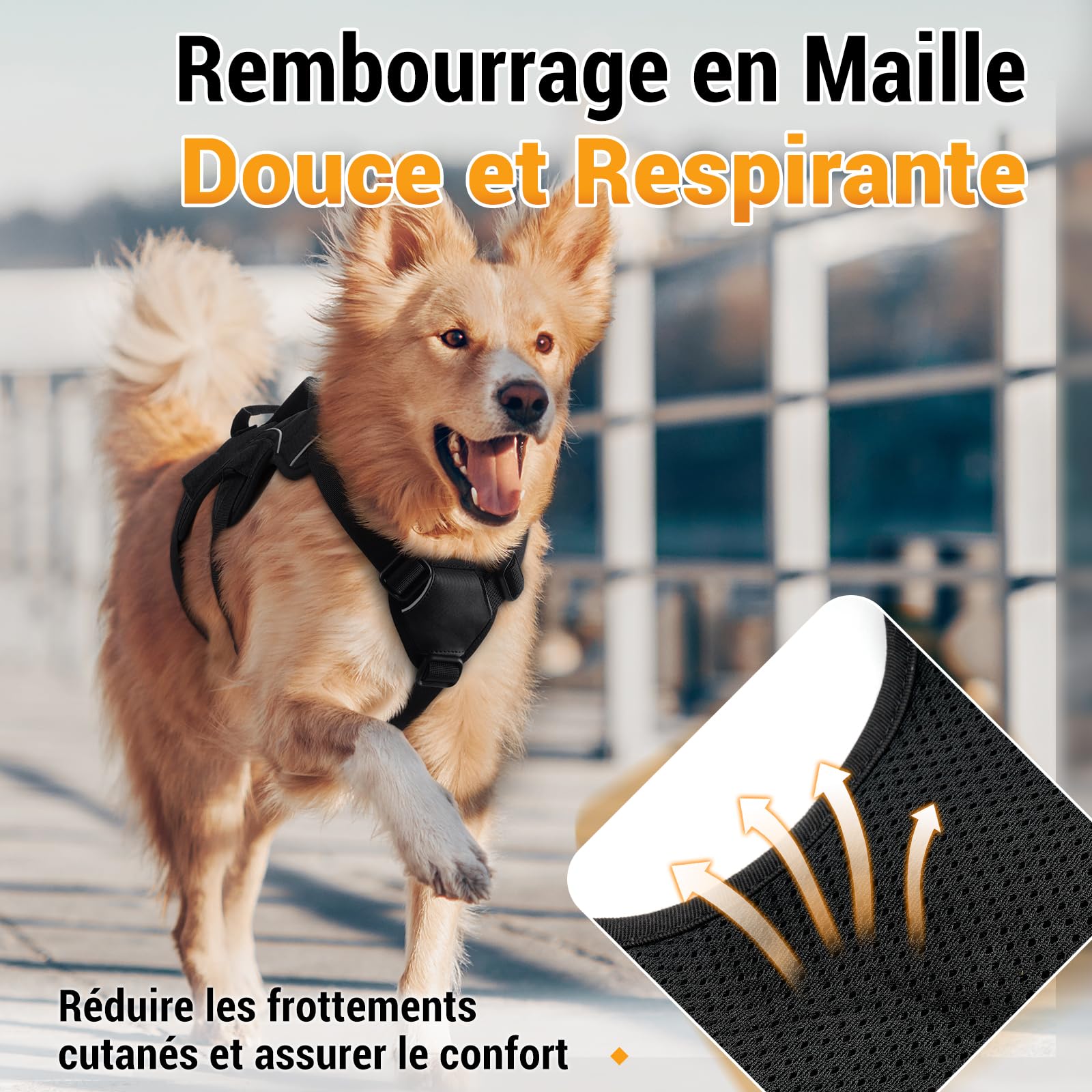 rabbitgoo Harnais pour Chien avec Poignée de Levage,Harnais Réglables pour Animaux de Compagnie Facile à Contrôler,Gilet pour Chien Réfléchissant pour Chiens de Taille Grande M, Noir