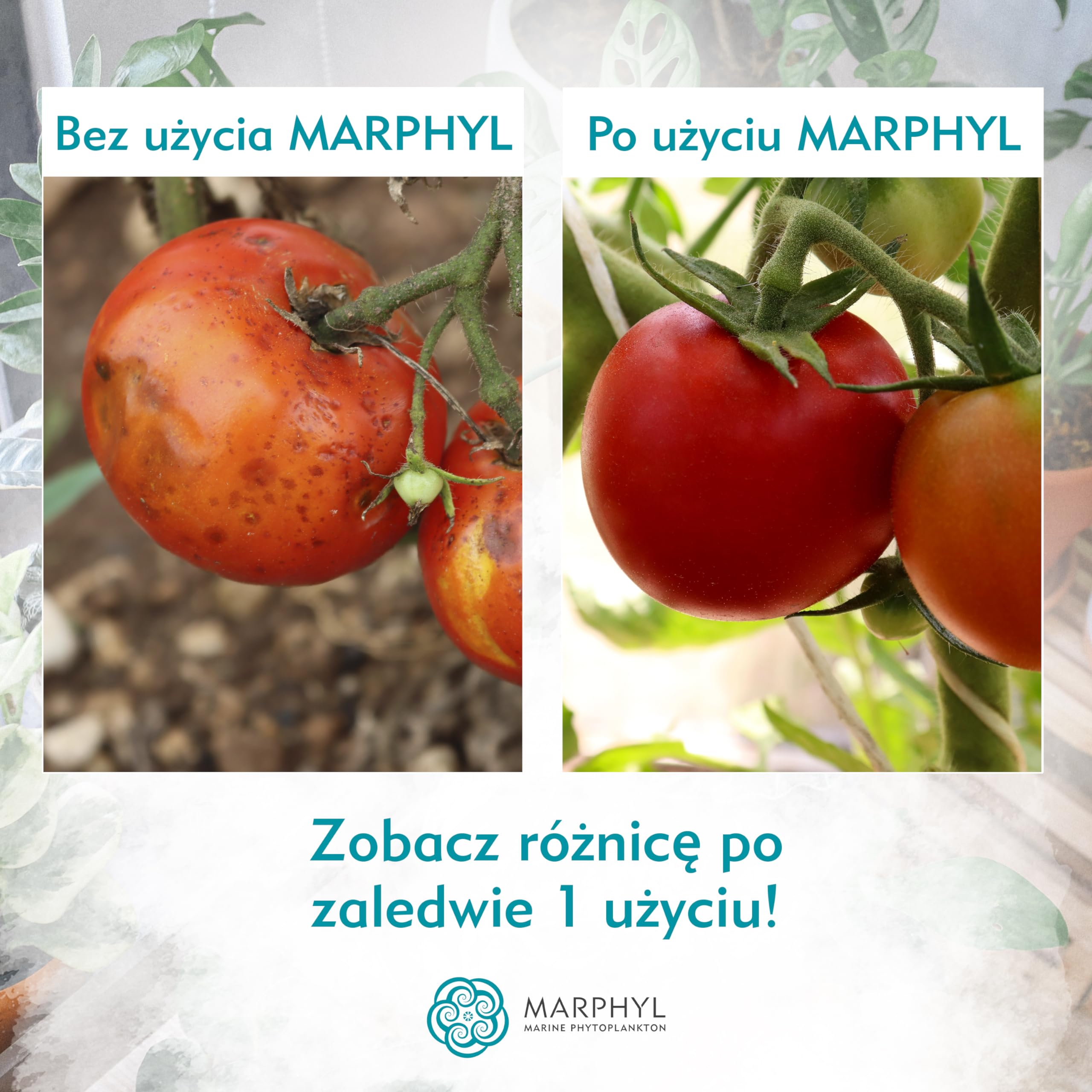 MARPHYL