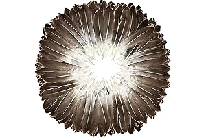 FeelfunFeather Natural Gray Goose Feathers: Exquisite Craft Embellishments