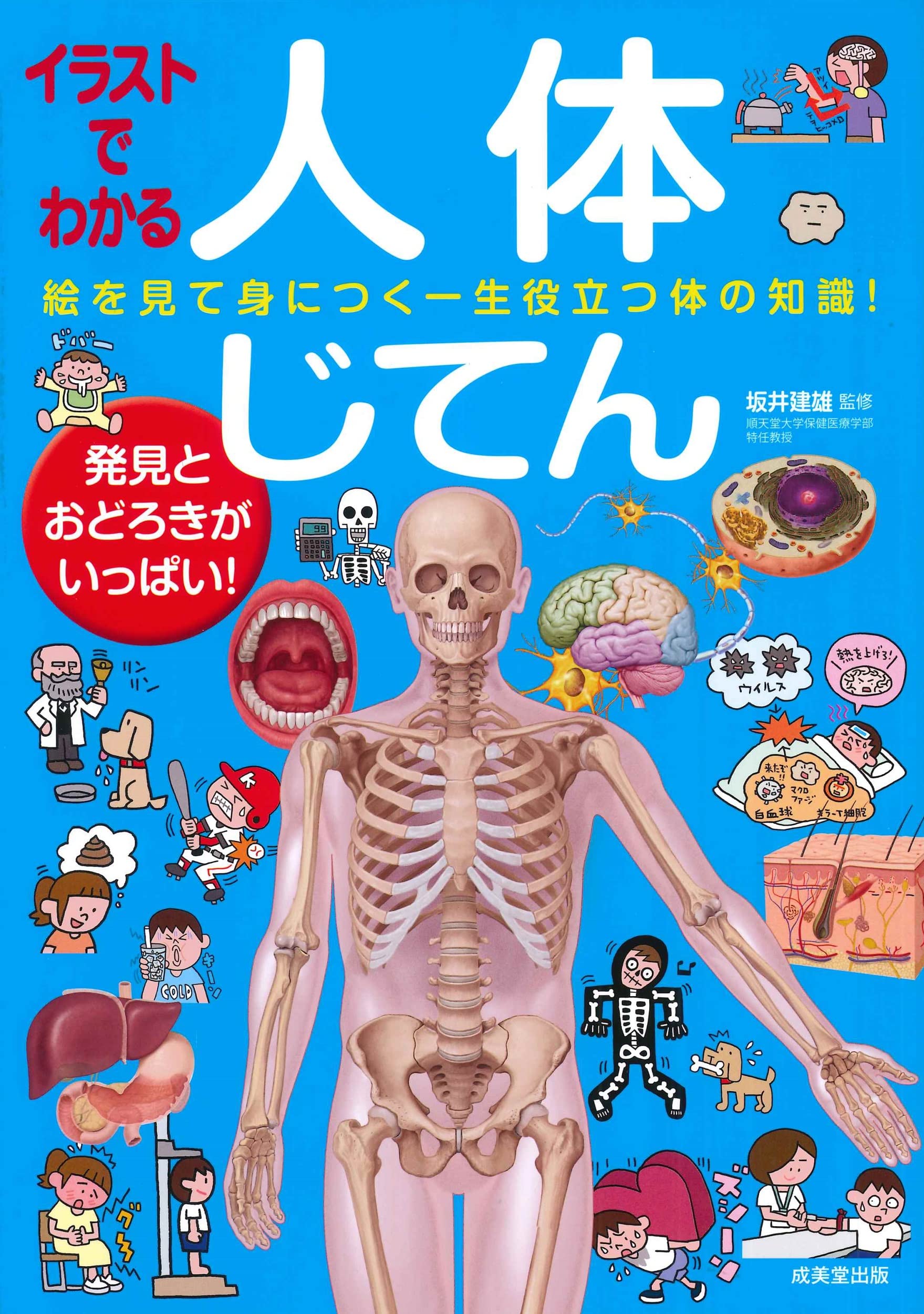 Amazon.co.jp: イラストでわかる人体じてん : 坂井 建雄: 本