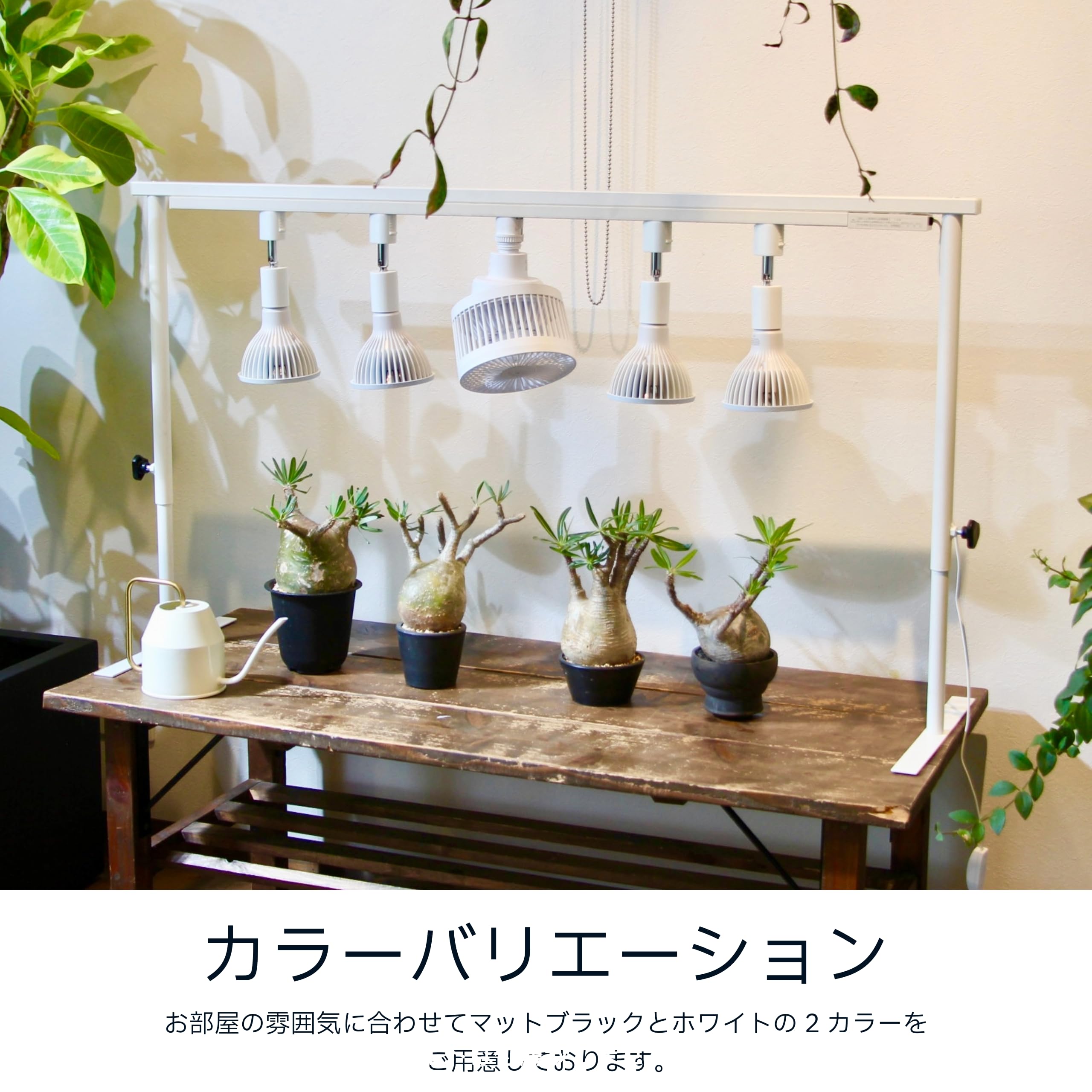 LIM IRON CRAFTライトレールスタンド 植物育成 アガベ 照明 楽天市場】ライトレールスタンド ライトスタンド 複数 卓上