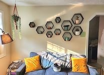 Review Image by Hannah Ploof Hannah Ploof