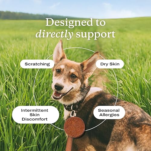 Miniatura 4 de Petlab Co Itch Relief Chews - Support for Dry Occasionally Itchy Skin  Coats - Formulated with Turmeric Omega 3  6 Honey - Packaging May Vary