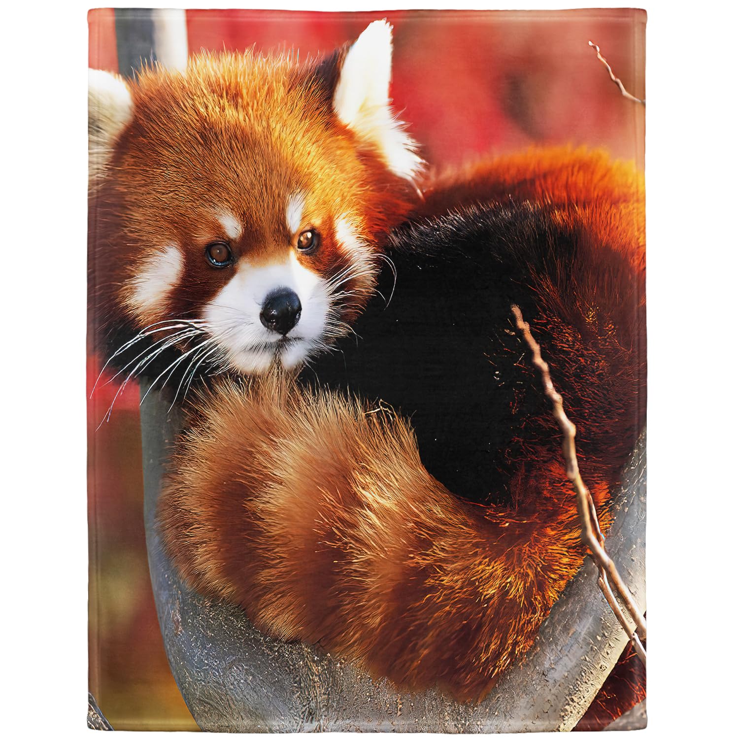 Blanket 125 x 150 cm Soft Flannel Soft Fleece Throw Blanket Bed Throw Funny Cute Panda Red