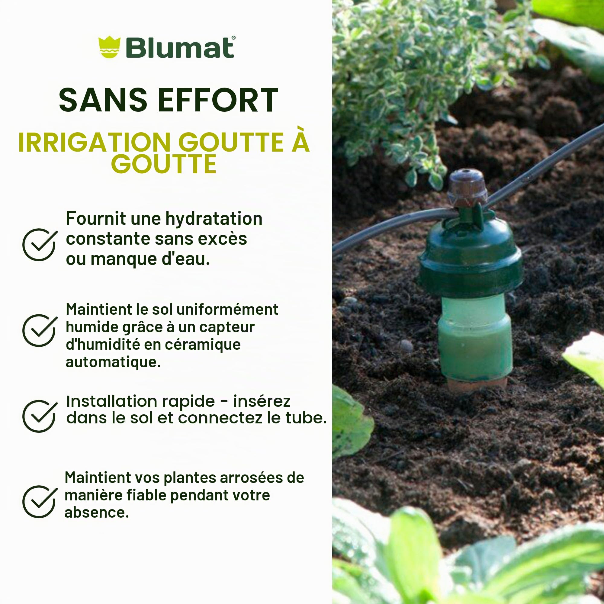 Blumat Système d'irrigation goutte à goutte - Tropf Medium Box - Dispositifs d'arrosage automatique pour jardin, terrasse et paniers suspendus - Système d'arrosage jusqu'à 12 plantes - Hydratation