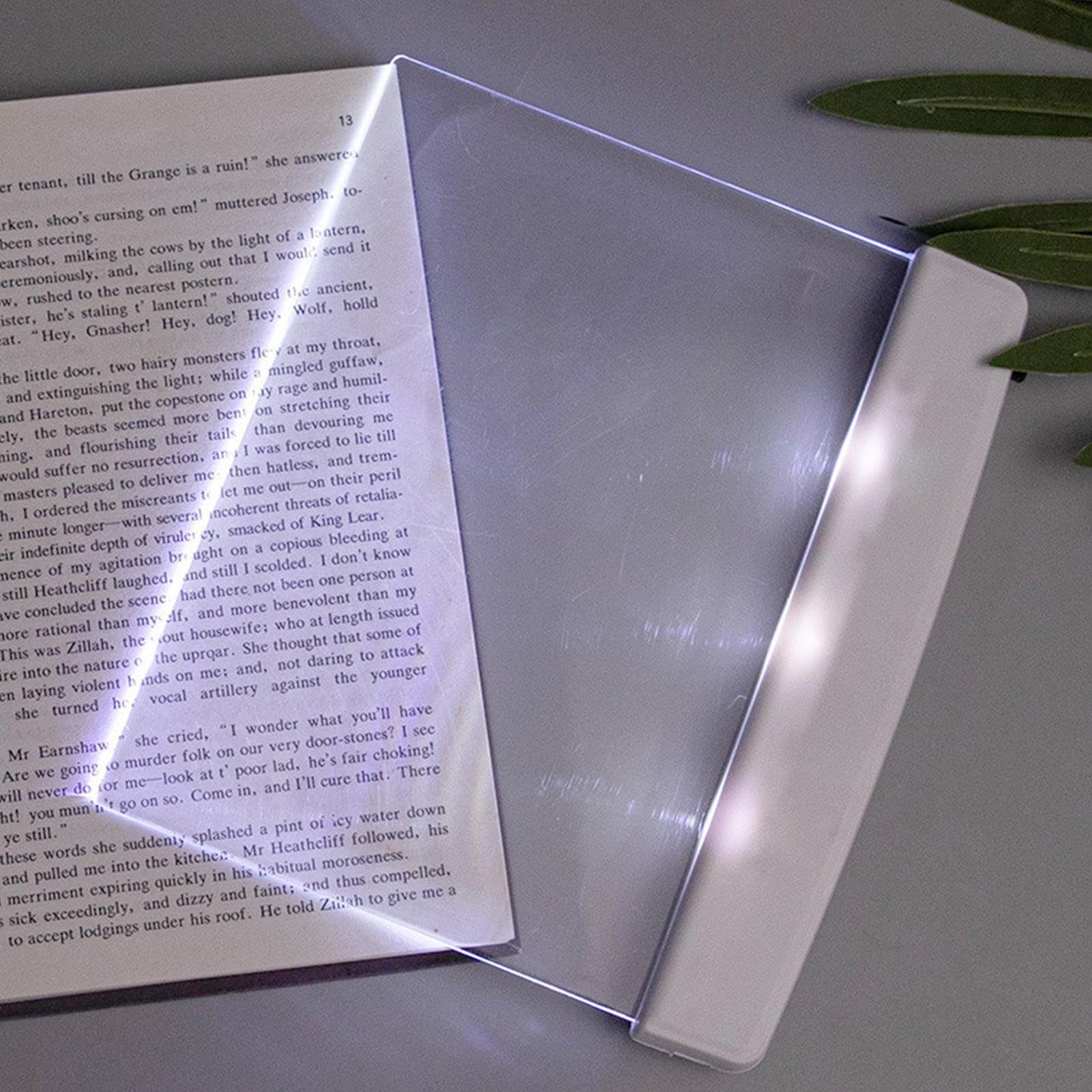 Générique Lumières de page de livre à LED plates pour lire la nuit, veilleuses de lecture de livres pour livres au lit, accessoires de lampe de lecture pour femmes lectrices, amateurs de livr es