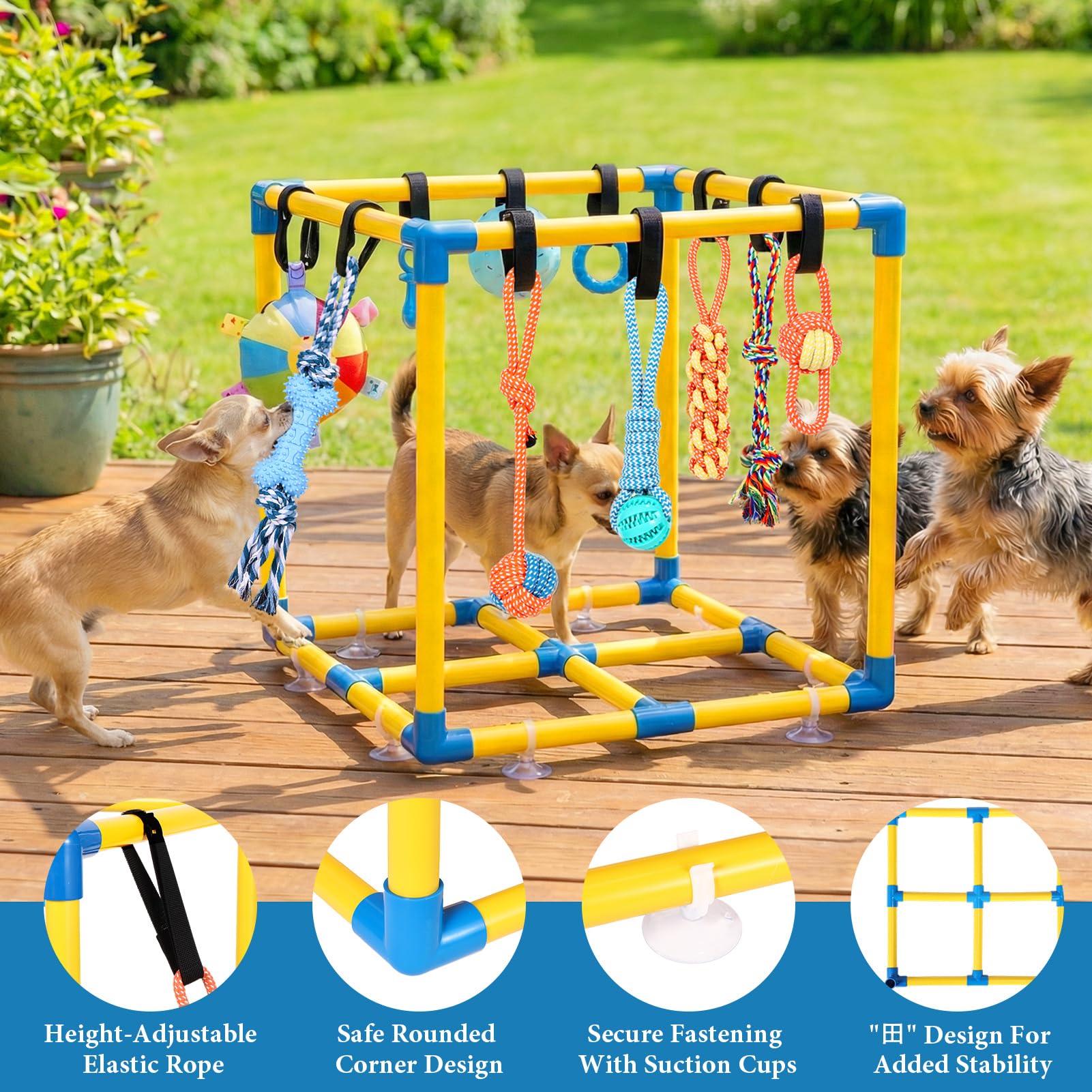 WLLEYAY Welpenspielstudio für kleine Hunde mit 10 hängenden Spielzeugen, abnehmbarer Indoor-Dschungel-Fitnessstudio, PVC-Rahmen mit verstellbaren Bungee-Gurten, interaktives Hundespielzeug