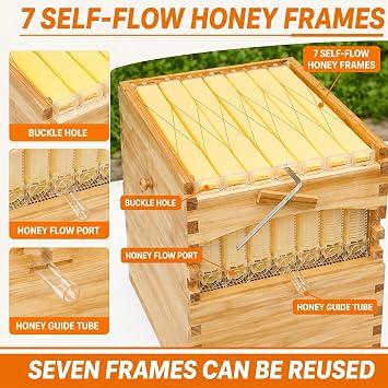 Flow Beehive Kit, Double Layer Hive with Automatic Honey Flow Frames