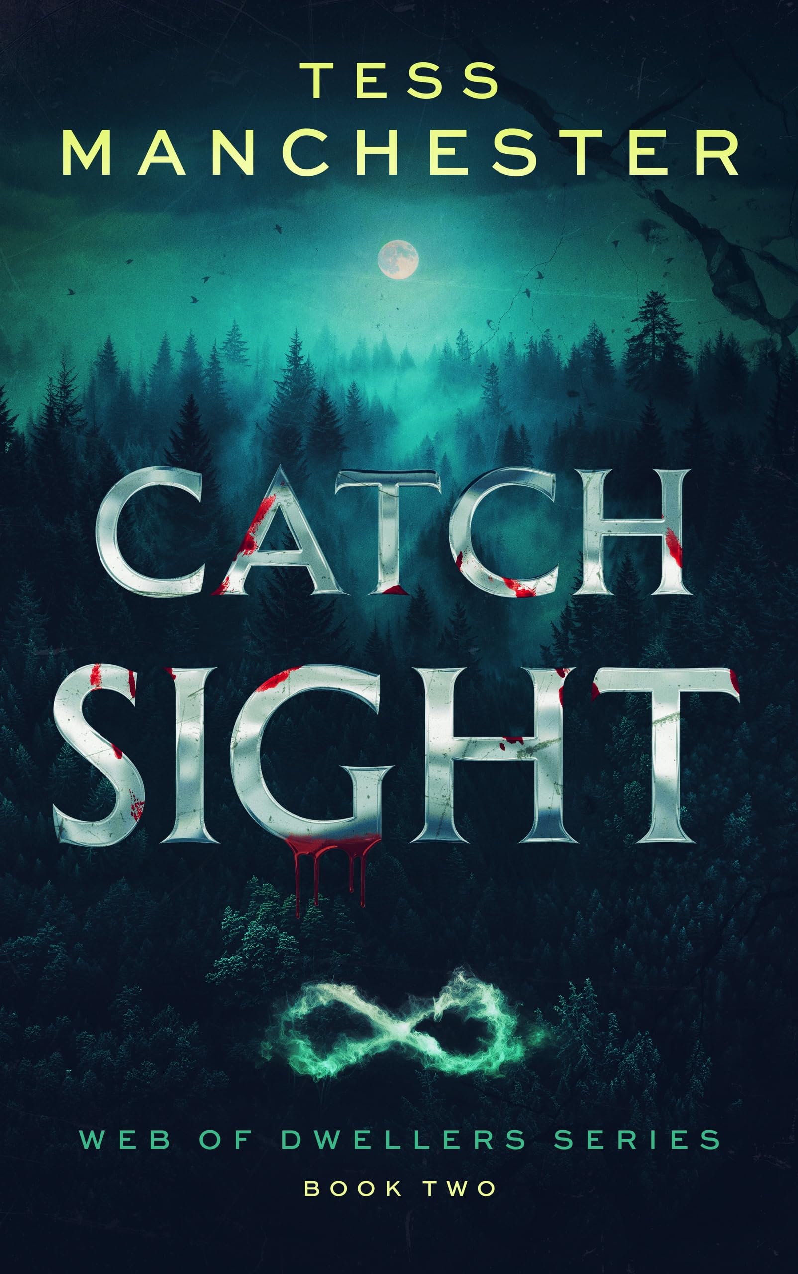 Catch Sight: A Dark Urban Fantasy Vampire Thriller (Web of Dwellers Book 2)