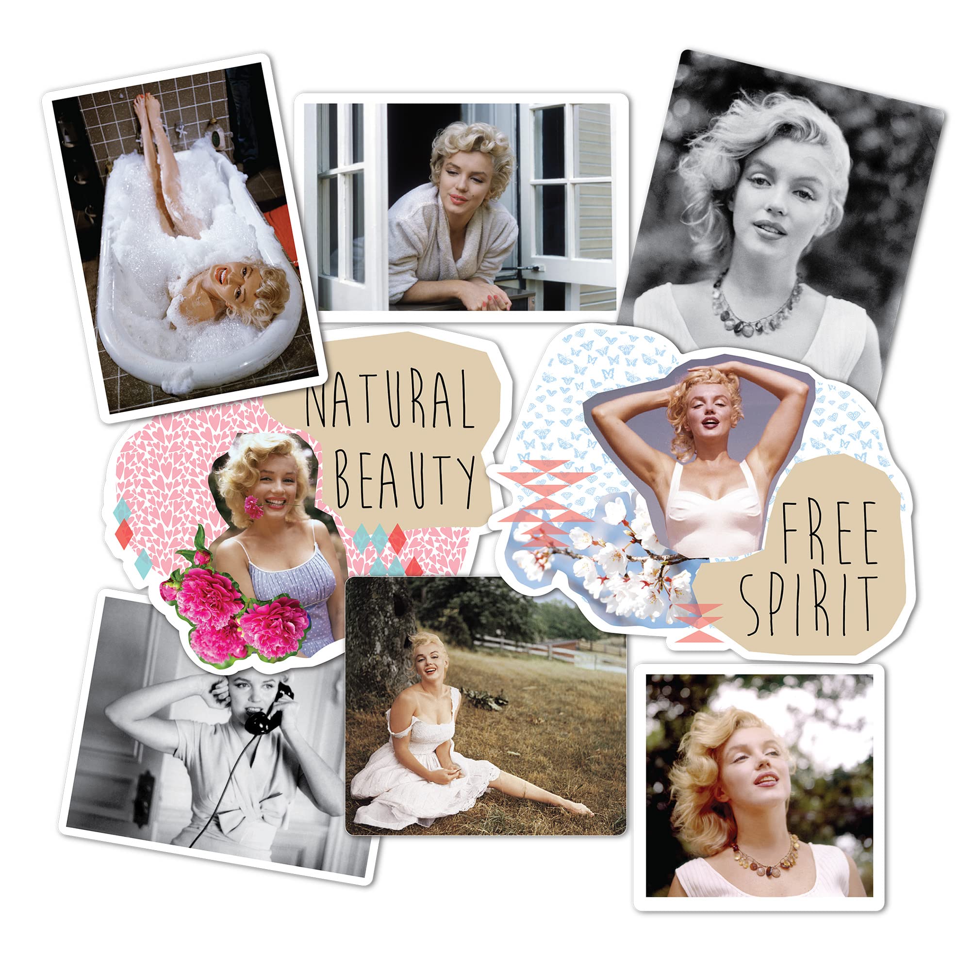 Desert Cactus Marilyn Monroe Sticker Sheet Vinyl Decal Crew Laptop Water Bottle Car Scrapbook (Type 2) (Version 5)